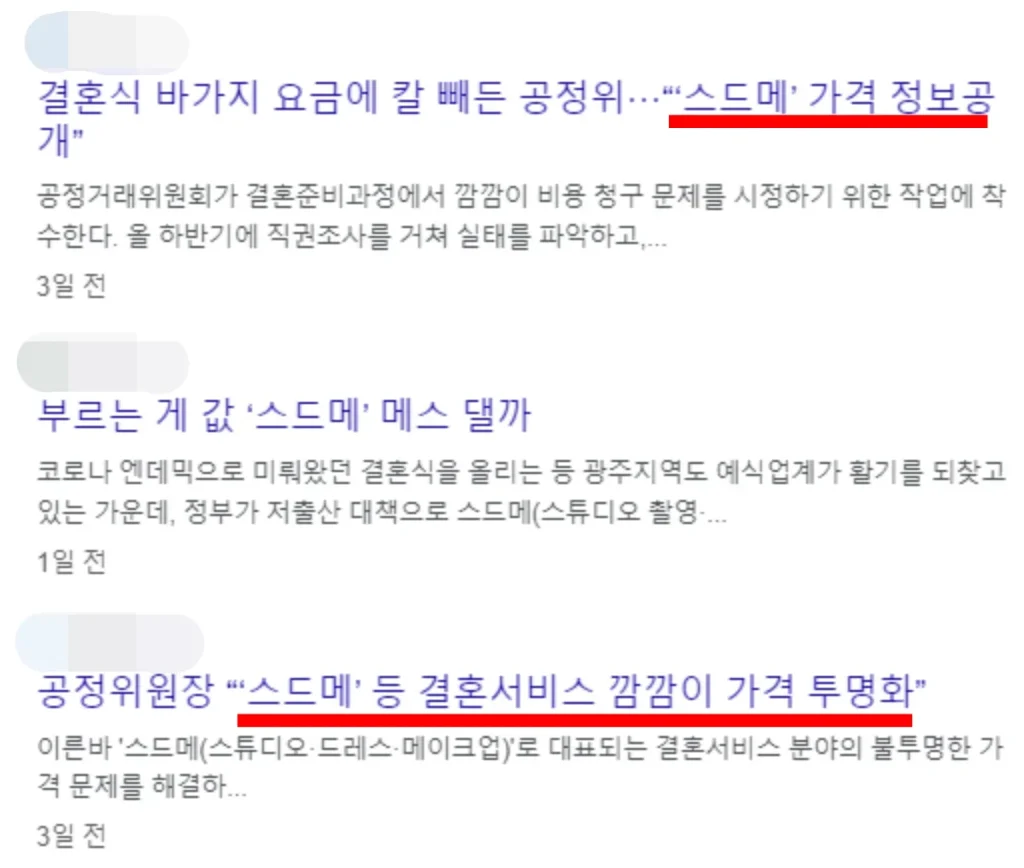 스드메 비용 관련 뉴스 헤드라인