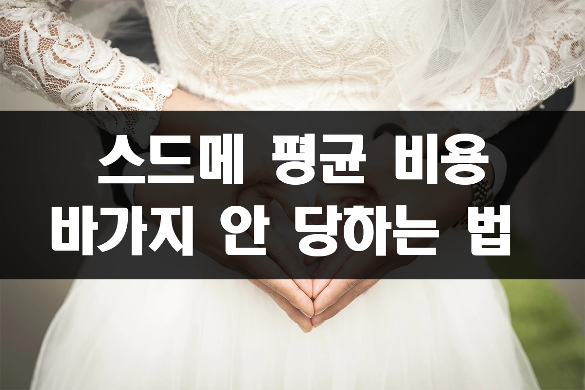 스드메 평균 비용