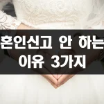 혼인신고 안 하는 이유