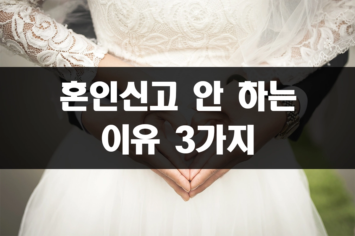 혼인신고 안 하는 이유